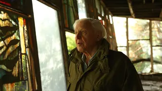 Telling the Emotional Story of Sir David Attenborough's "Life on Our Planet" Through Sound and Editing