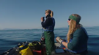 Deciphering the Language of Whales in "Fathom"